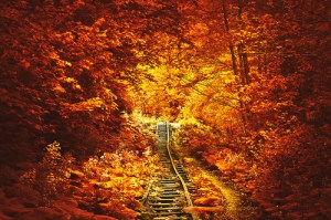 tumblr_mm8lm5v3Ln1qb30dwo1_500