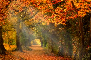 tumblr_ms5wdf3lgc1qb30dwo1_500