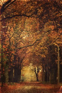 tumblr_muvddgvUH21qb30dwo1_500