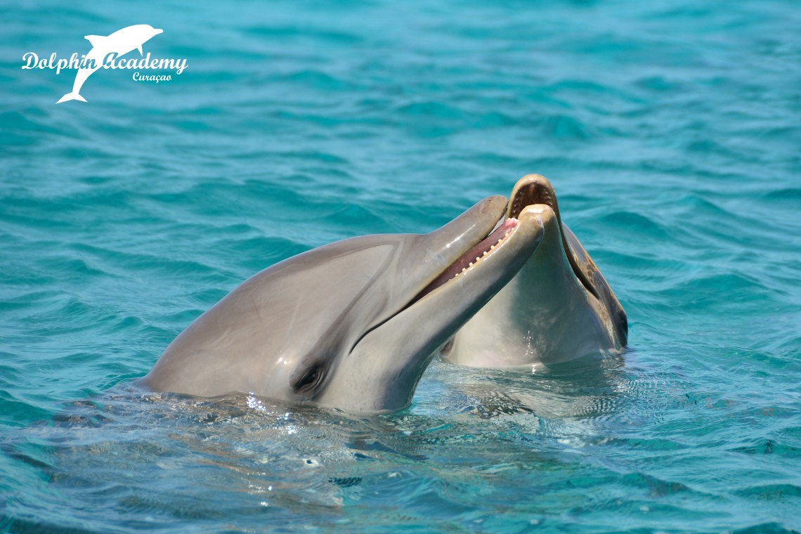 July 7. Kayena &amp; Estrea