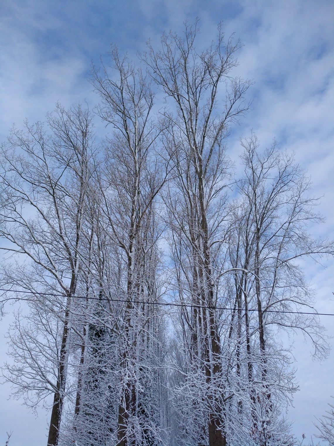 img_20190123_120119_resized_20190123_094629905