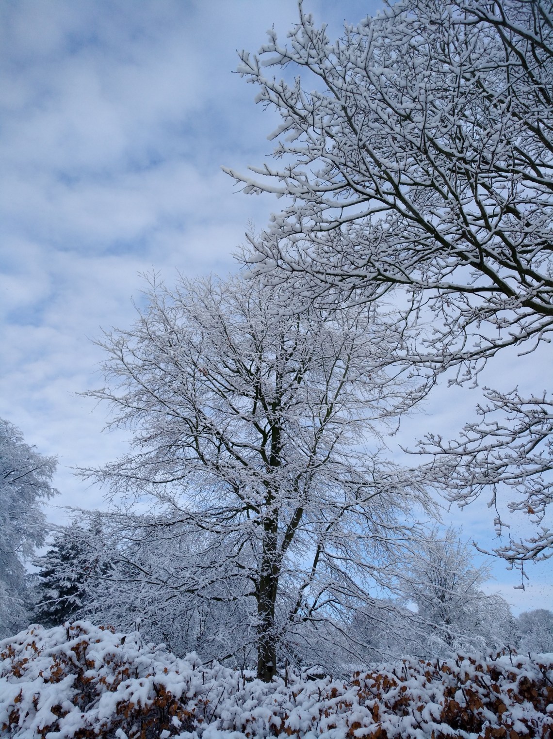 img_20190123_120829_resized_20190123_094627994